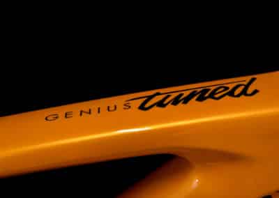 Peinture d'origine cadre VTT carbone Scott Genius Tuned